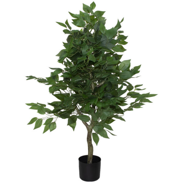 Fig Tree 90 cm