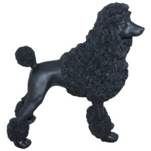 Black French Poodle 33 cm