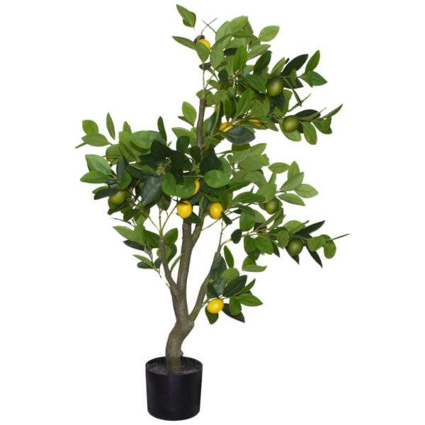 Lemon Tree 1.2 m