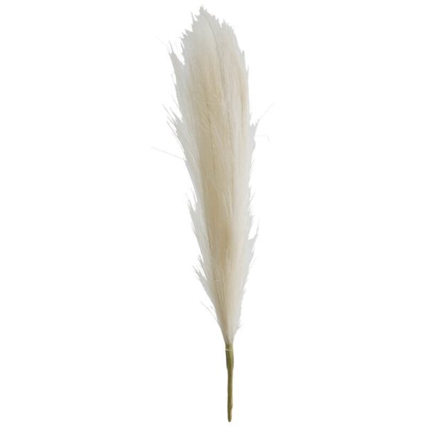 Pampas - Off-White Grass 44 cm