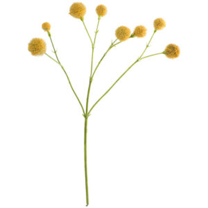 Camomile Stalk 50 cm