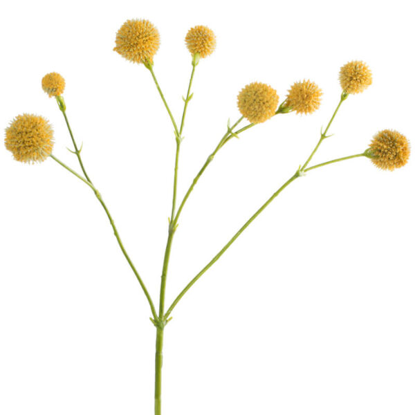 Camomile Stalk 50 cm
