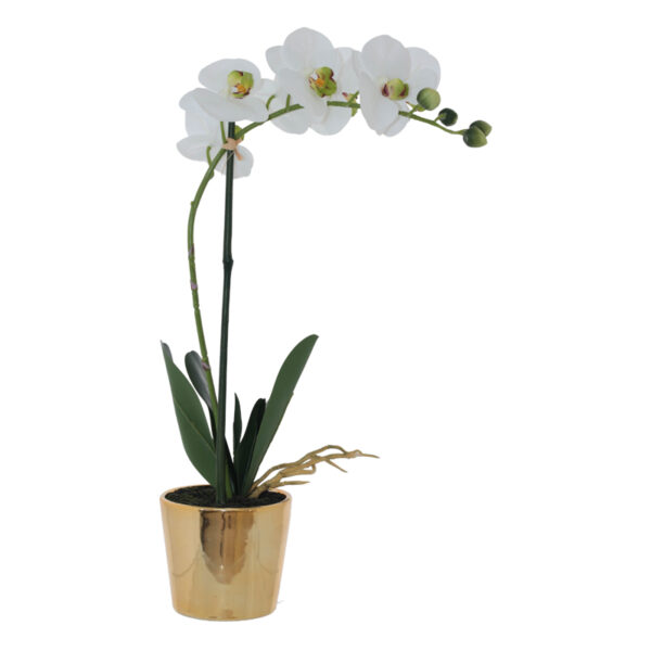 White Orchid in Gold Pot 51 cm