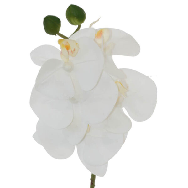 White Orchid Stem 44 cm
