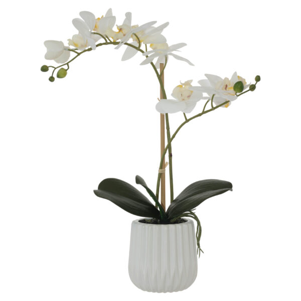 White Real Touch Orchid 53 cm