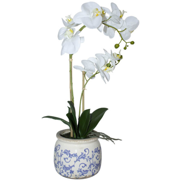 White Orchid in Blue and White Pot 55 cm