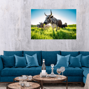 Nguni Canvas No 2