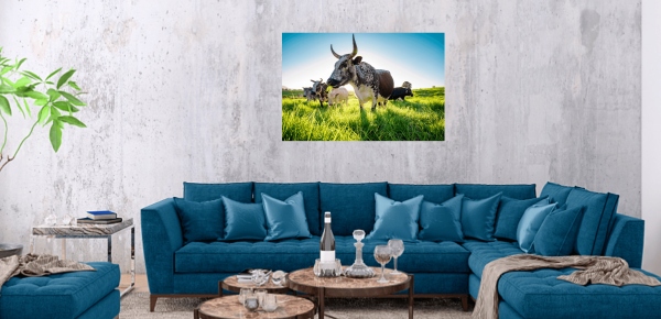 Nguni Canvas No 2