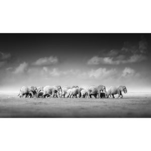 Wildlife Canvas No 6