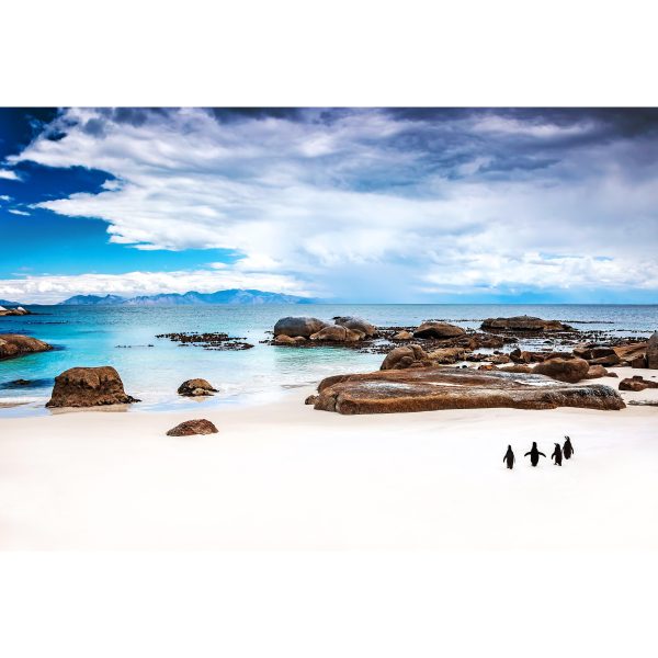 Landscape Canvas No 3