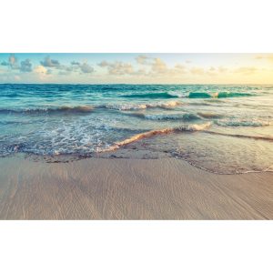 Landscape Canvas No1