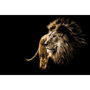 Wildlife Canvas No 3