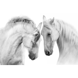 Wildlife Canvas No 2