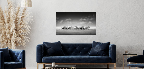 Wildlife Canvas No 6
